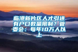 临港新片区人才引进有户口数量限制？管委会：每年10万人以上