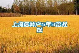 上海居转户5年3倍社保