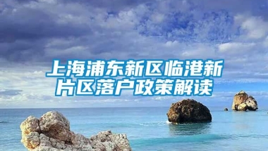 上海浦东新区临港新片区落户政策解读