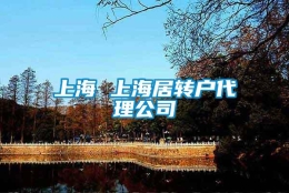 上海 上海居转户代理公司