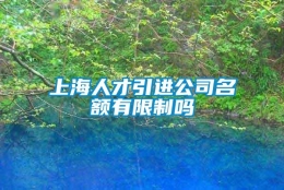 上海人才引进公司名额有限制吗