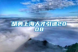 胡勇上海人才引进2008