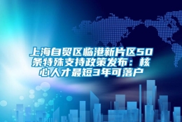 上海自贸区临港新片区50条特殊支持政策发布：核心人才最短3年可落户