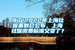 涨了!2022年上海社保基数已公布，上海社保缴费标准又变了？