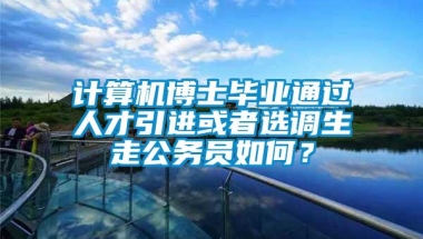 计算机博士毕业通过人才引进或者选调生走公务员如何？