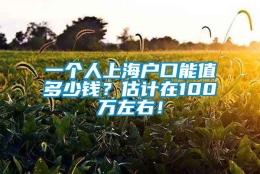 一个人上海户口能值多少钱？估计在100万左右！