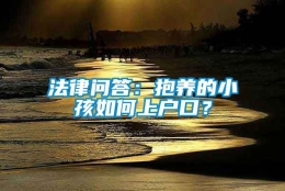 法律问答：抱养的小孩如何上户口？