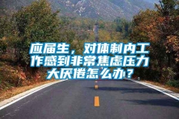 应届生，对体制内工作感到非常焦虑压力大厌倦怎么办？