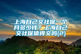 上海自己交社保一个月多少钱？上海自己交社保值得交吗(2)