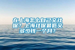 在上海怎么自己交社保？上海社保最低交多少钱一个月？