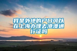 我是外地的户口可以在上海办理去港澳通行证吗