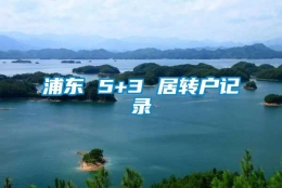 浦东 5+3 居转户记录