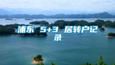 浦东 5+3 居转户记录