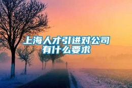 上海人才引进对公司有什么要求