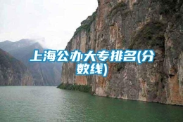 上海公办大专排名(分数线)