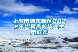 上海市浦东新区2022年招募高校毕业生岗位表