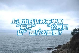 上海小升初政策中的“摇号”、“公民同招”是什么意思？