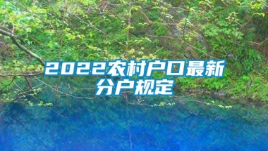 2022农村户口最新分户规定