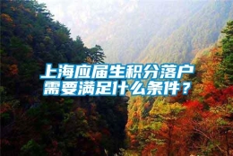 上海应届生积分落户需要满足什么条件？