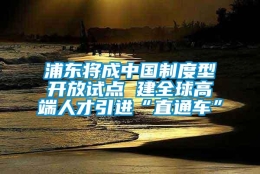 浦东将成中国制度型开放试点 建全球高端人才引进“直通车”