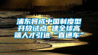 浦东将成中国制度型开放试点 建全球高端人才引进“直通车”