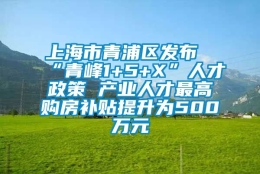 上海市青浦区发布“青峰1+5+X”人才政策 产业人才最高购房补贴提升为500万元