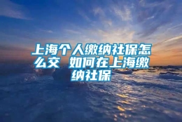 上海个人缴纳社保怎么交 如何在上海缴纳社保