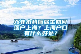 双非本科应届生如何落户上海？上海户口有什么好处？