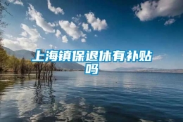 上海镇保退休有补贴吗