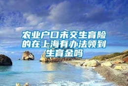 农业户口未交生育险的在上海有办法领到生育金吗