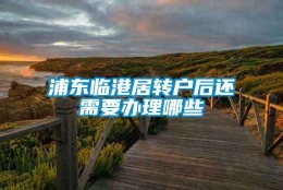 浦东临港居转户后还需要办理哪些