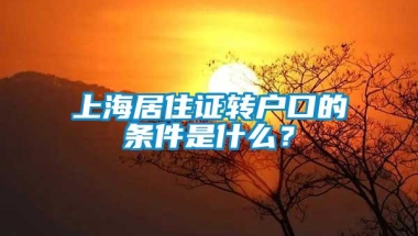 上海居住证转户口的条件是什么？