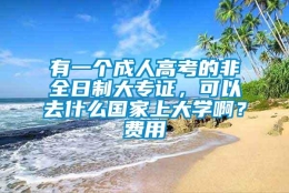 有一个成人高考的非全日制大专证，可以去什么国家上大学啊？费用