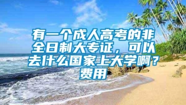 有一个成人高考的非全日制大专证，可以去什么国家上大学啊？费用