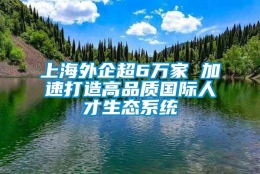 上海外企超6万家 加速打造高品质国际人才生态系统