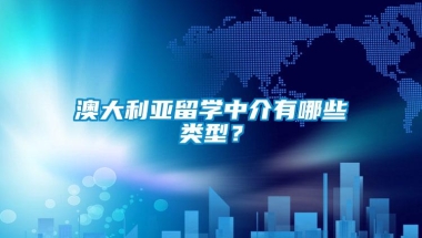 澳大利亚留学中介有哪些类型？