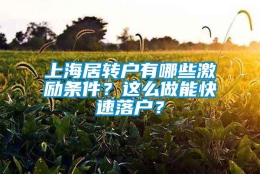 上海居转户有哪些激励条件？这么做能快速落户？