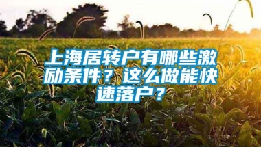 上海居转户有哪些激励条件？这么做能快速落户？