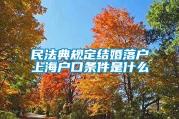 民法典规定结婚落户上海户口条件是什么