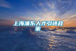 上海浦东人才引进政策