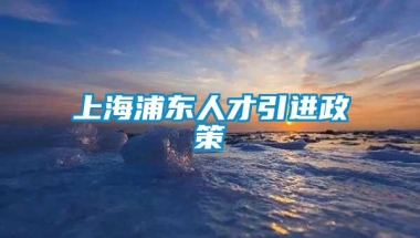 上海浦东人才引进政策