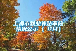 上海市就业补贴审核情况公示 ( 11月）