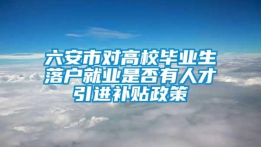 六安市对高校毕业生落户就业是否有人才引进补贴政策