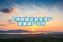 上海应届毕业生落户是集体户口吗