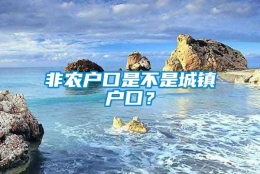 非农户口是不是城镇户口？