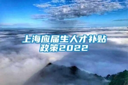 上海应届生人才补贴政策2022