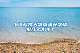 上海科技大学本科升学情况什么水平？