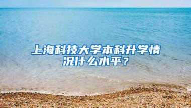 上海科技大学本科升学情况什么水平？