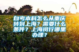 自考本科怎么从重庆转到上海？需要什么条件？上海闵行哪里办理？