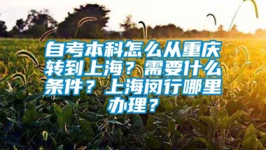 自考本科怎么从重庆转到上海？需要什么条件？上海闵行哪里办理？